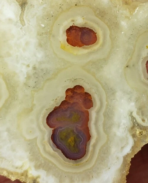 Carey Plume Agate -end cut- Druzy - Beautiful Old Stock From Oregon (17 grams)
