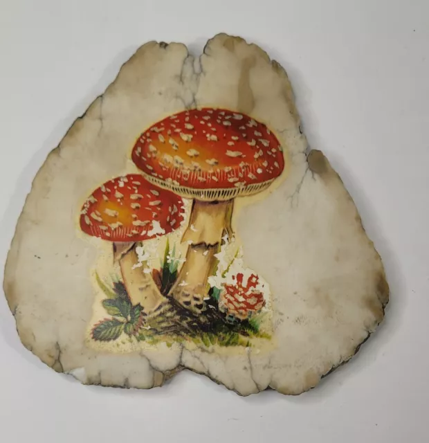 Vintage Mushrooms Plaque Mid Boho Decor Ceramic with Stand