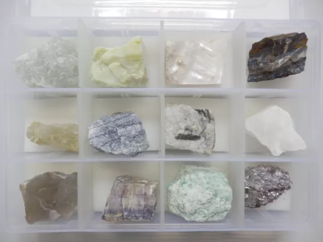 12 Mineral Stone Collection Set in Plastic Box MSS12-8 Education Specimen Kit