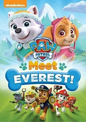 PAW PATROL: MEET Everest! $4.87 - PicClick