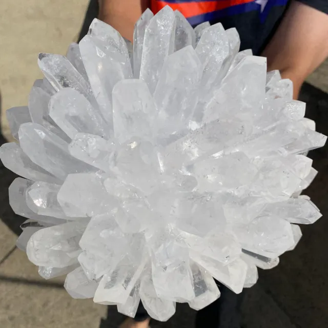 13lb New Find white Phantom Quartz Crystal Cluster Mineral Specimen Healing