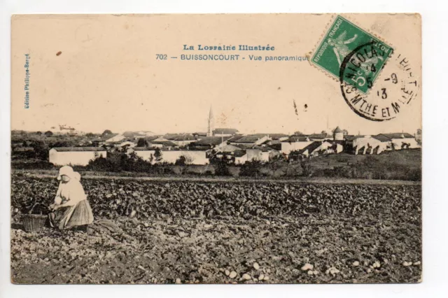 BUISSONCOURT Meurthe et moselle CPA 54 vue generale récolte de patates