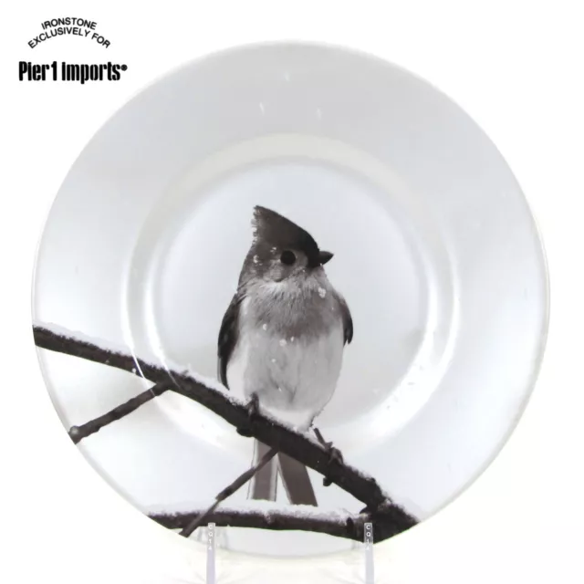 Pier 1 Imports SNOW FOREST - TITMOUSE BIRD 8.75" Salad Plate Winter White Mint