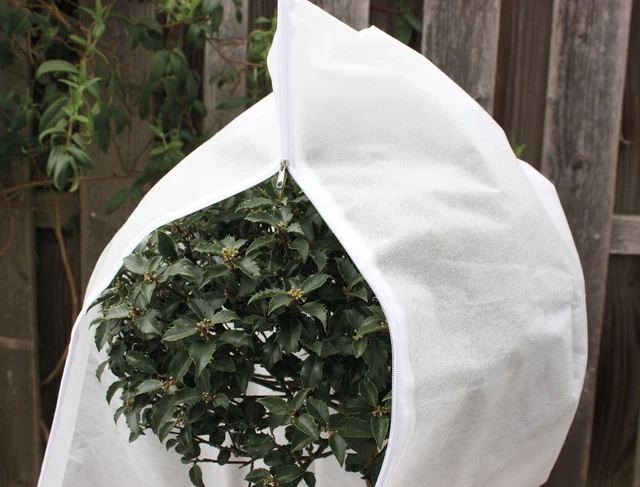Gardissimo 461644 Kübelpflanzensack (240 x 200 cm) (Winterschutz)