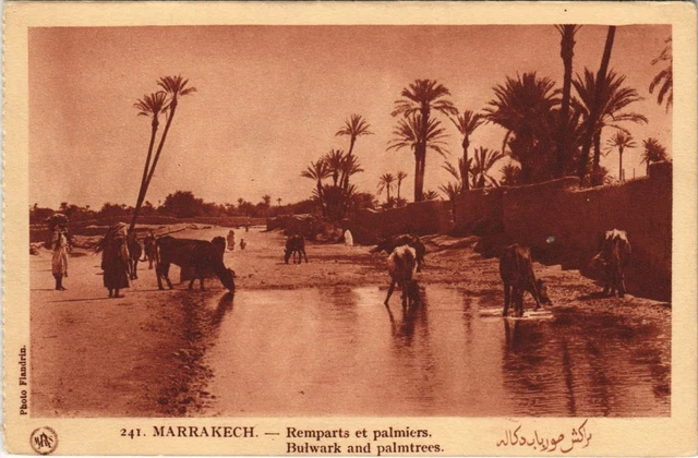 CPA AK MAROC MARRAKECH Remparts et palmiers Flandrin (37927)