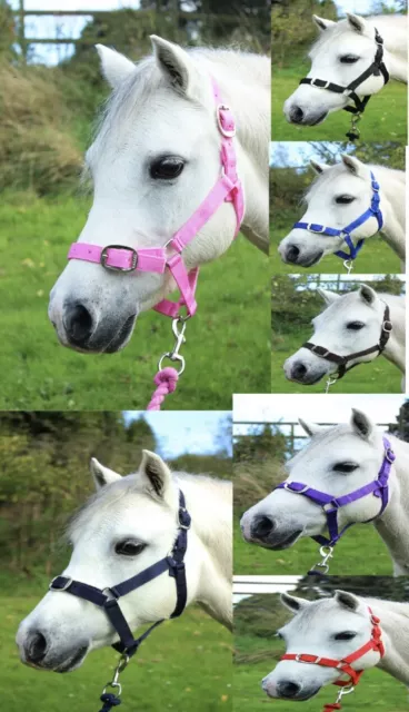 Gallop Headcollar & Lead Rope Set Shetland, Pony, Cob, Full - All Colours