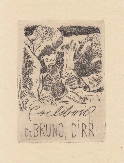 Exlibris Bookplate Radierung Willi Geiger 1878-1971 Chirurg Operation Arzt