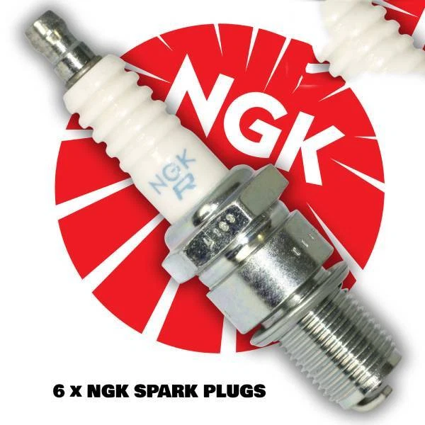6 X Candele Ngk Per Bedford B6S