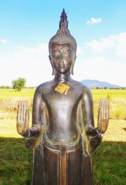 OLD Thai Style Ayutthaya Standing Bronze Protection Buddha Statue, Height 40''