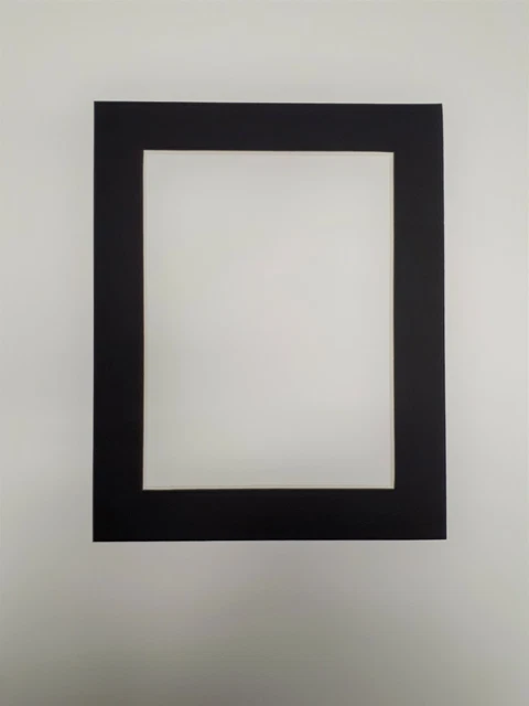 16 x 12 pulgadas Foto/Montaje de Imagen (Ventana de Apertura 12 x 9 pulgadas) P&P GRATIS