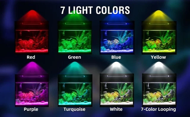 Betta Fish Tank Glass 5 Gallon Self Cleaning Small Aquarium Starter Kits Desktop 2