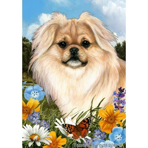 Summer House Flag - Cream Sable Tibetan Spaniel 18475