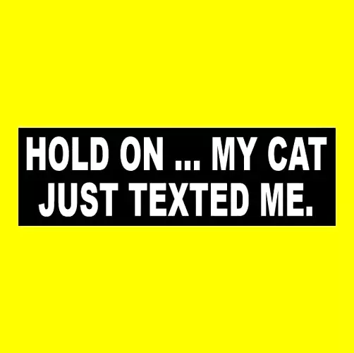 Funny "HOLD ON ... MY CAT JUST TEXTED ME" Anti tailgater BUMPER STICKER decal