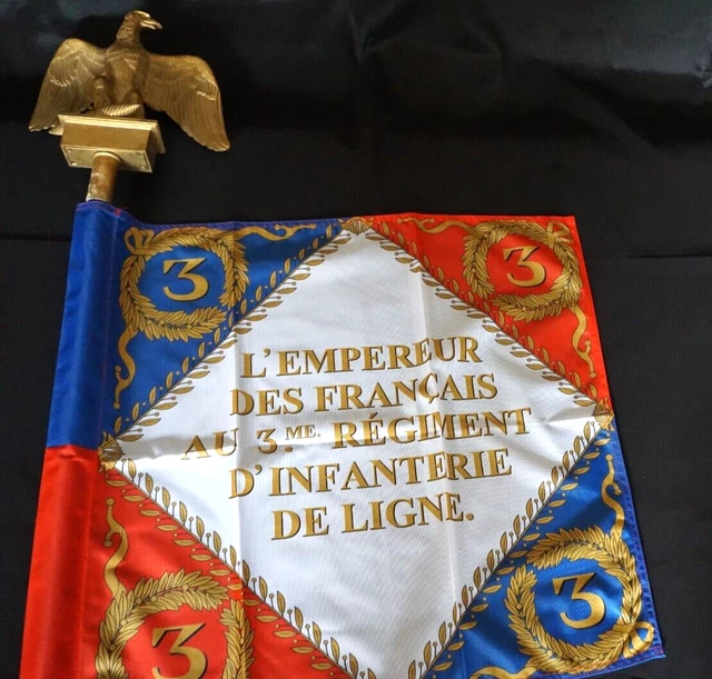 Drapeau Rectangulaire Du 107ème Régiment D'infanterie - 'Pro Patria Et Gloria' Avec Frange