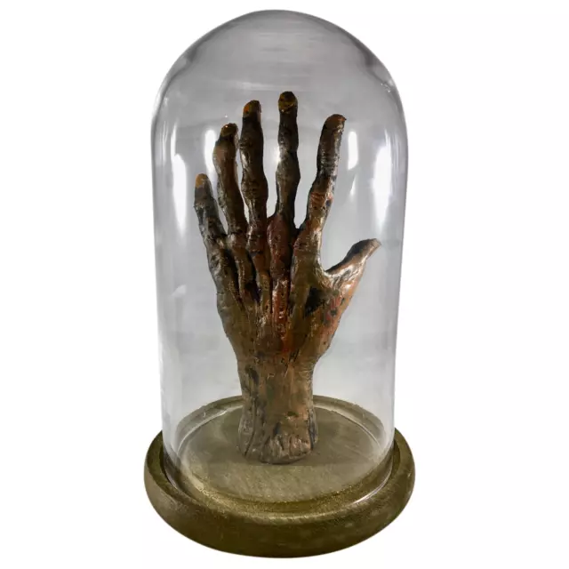Bizarre! 6 Finger Mummified Mummy Hand Gaff Curriosity Medical Specimen Oddity 3