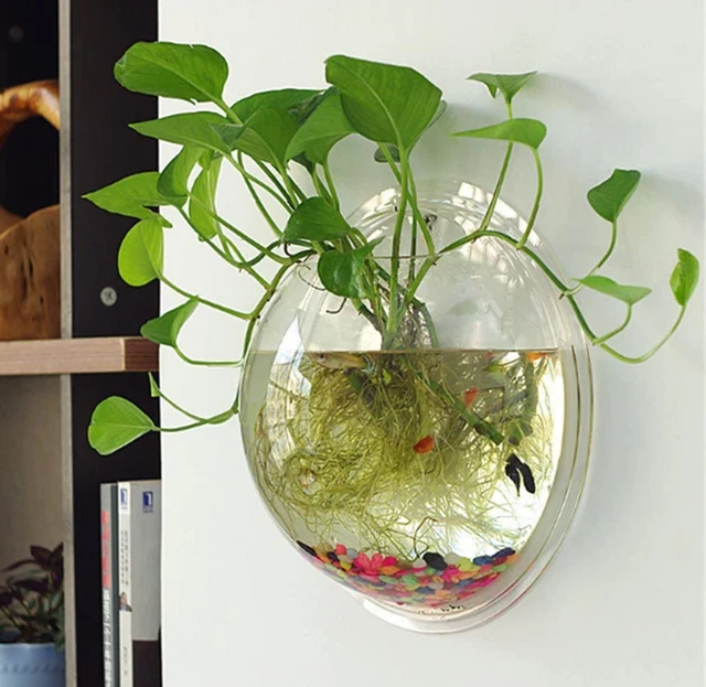 Hanging Wall Mounted 1 Gallon Fish Tank Bowl Aquarium Wall Decor Plant Fish Bubb 2