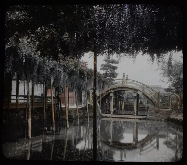 ANTIKE magische Laterne Rutsche WISTERIA OF KAMEIDO TOKIO C1910 FOTO JAPAN JAPANISCH