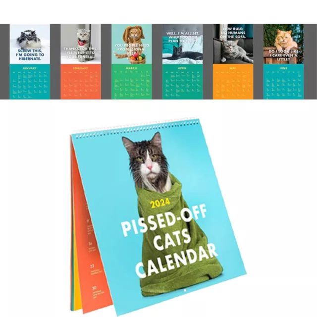2024 PISSEDOFF CATS Calendar / Funny Cat Wall Calendar 9.68 PicClick