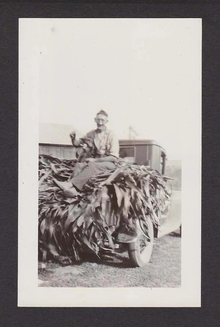 OLD MAN FARMER w/DOG PICKUP TRUCK HARVEST TIME OLD/VINTAGE PHOTO SNAPSHOT- B201