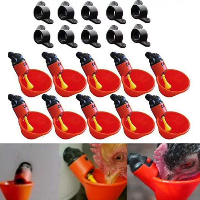 10PCS Chicken Bird Hen Water Drinking Cup Auto Poultry Drinker Feeder Nipp ID