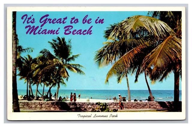 It's Great to be in Miami Beach FL Florida Tropical Lummus Park Chrome Postcard