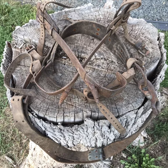 1940s-50’s Bell System Buckingham Lineman Pole Climbing Spikes Belt Pole Strap