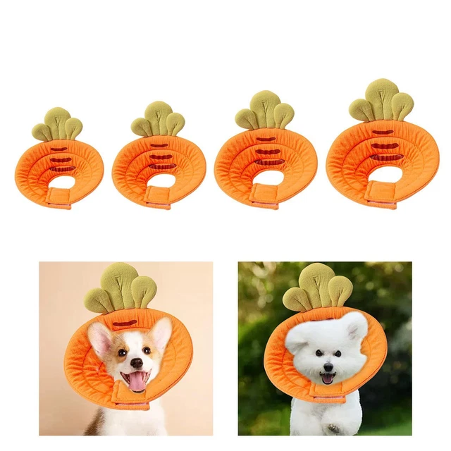Collier de récupération pour chat anti-morsure doux anti-léchage mignon pour