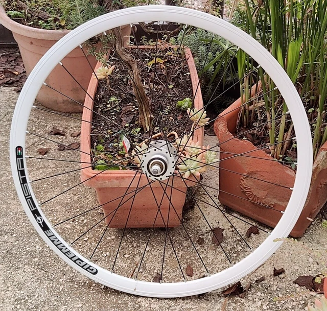 Roue Arrière Ambrosio Gipiemme Pour Vélo Piste - 32 Rayons - Vintage - Occasion