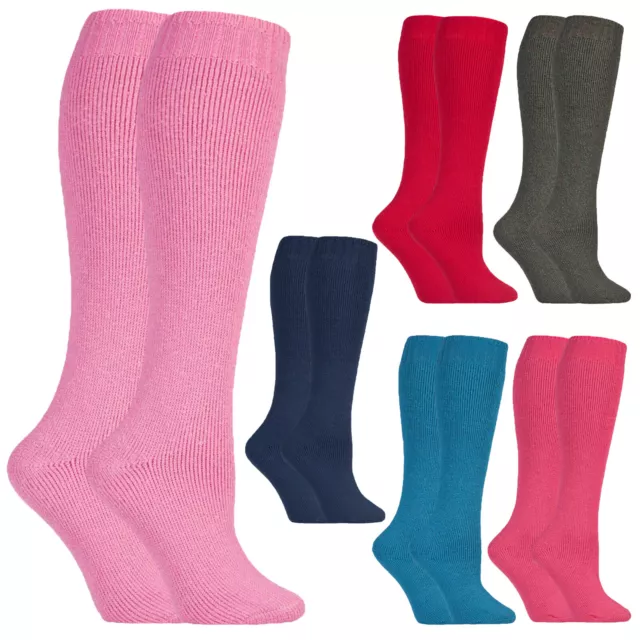 Ladies Thick Warm Wool Cushioned Knee High Hiking Socks for Wellington Boots