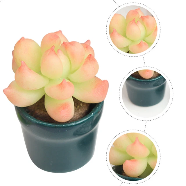 Set 10 Mini Piante In Vaso In Resina – Ornamenti Per Scrivania, Bonsai Artificiali Per Casa, Ufficio E Regalo