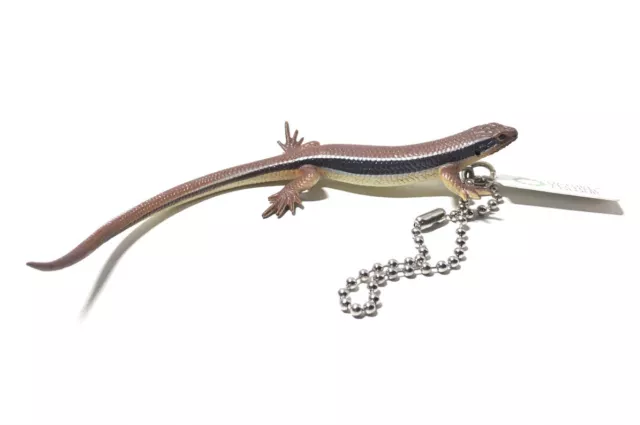 Kitan Club Nature Techni Color Japanese Skink Lizard Keychain Figure B 3