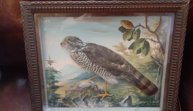Altes Ölbild Ölgemälde Gemälde H Meisel Landeck Greifvogel  mit echten Federn