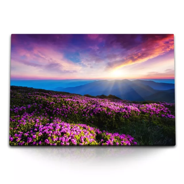 120x80cm Wandbild auf Leinwand Berglandschaft Sonnenuntergang Berge Blumenwiese