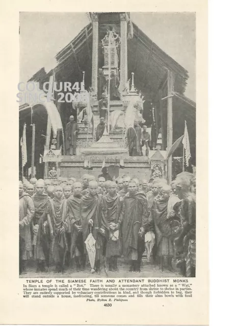 SIAM THAILAND BUDDHIST MONKS BOT WAT SHRINE c 1920 PHOTO ILLUSTRATION PRINT