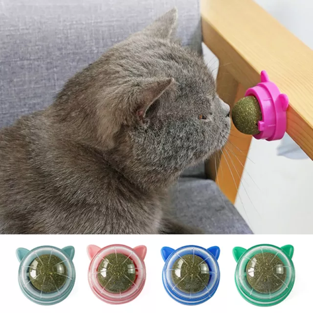 Cat Pet Catnip Lick Spinning Ball Toy Snacks Nutrition Treats for Kitten Cats ⭐⭐