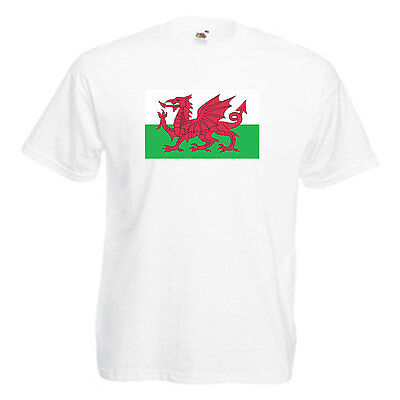 Il Galles Welsh Dragon Bandiera Children's Kids T Shirt 2