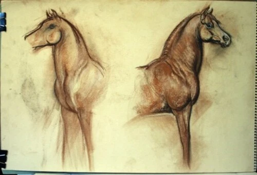 #1 Maureen Love Original Sketch 2 Horses