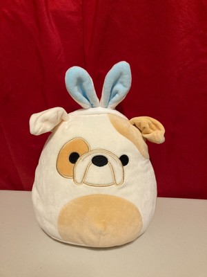 squishmallow dog with bunny ears
