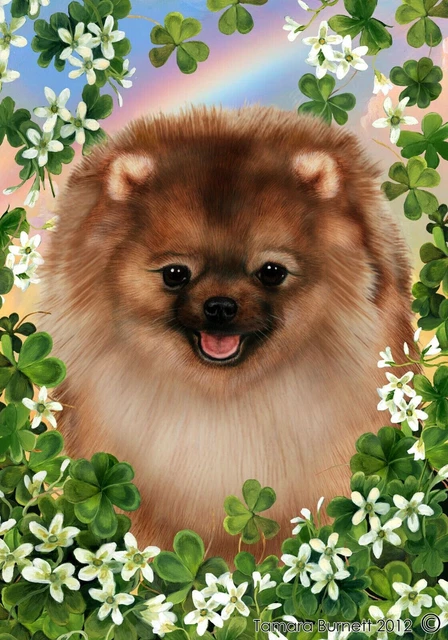Clover Garden Flag - Orange Sable Pomeranian