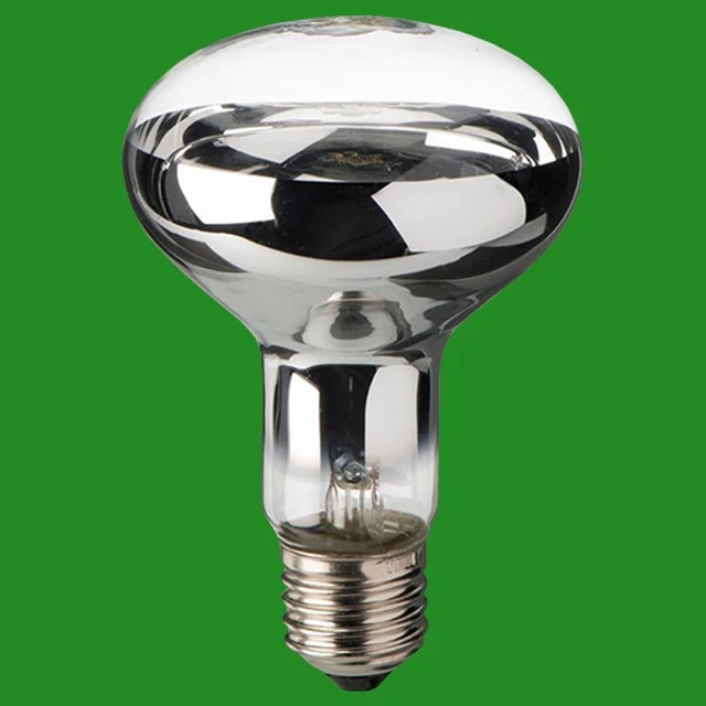 Lot De 2 Ampoules Philips Eco Halogène R63 28W - Blanc Chaud, Dimmable, Culot E27