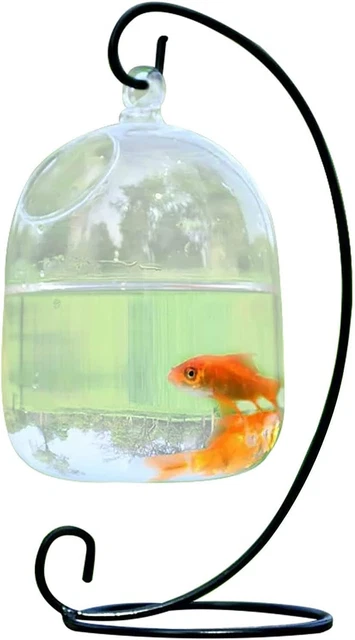 Hanging Fish Tank with Black Stand Creative Aquarium for Home office Decoration