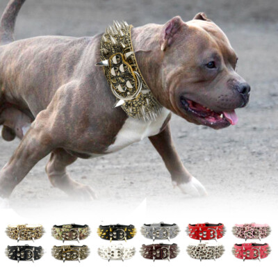 CMT Collar PIRÁMIDE para perros American Bully PitBull 