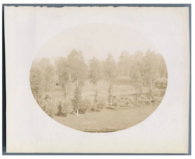 France, Pas de Calais, Paysage  Vintage citrate print.  Tirage citrate  9x12