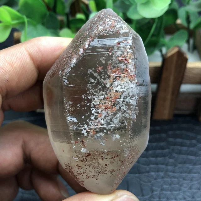 Rare large Natural snowflake Phantom Ghost Garden Quartz gem tip Hooded crystal