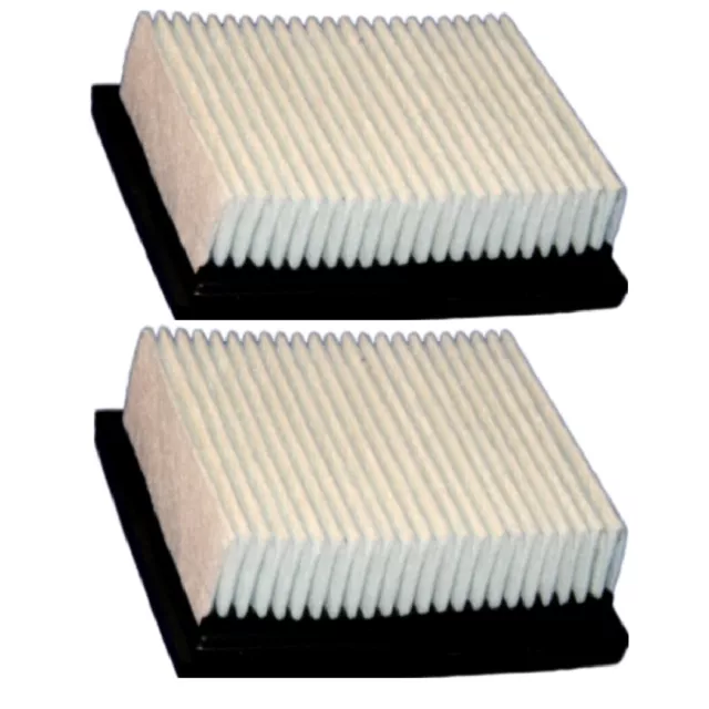 Nobles Dust Panel Vacuum Filter - Quantity 2 - Part 1037821 - Replacement