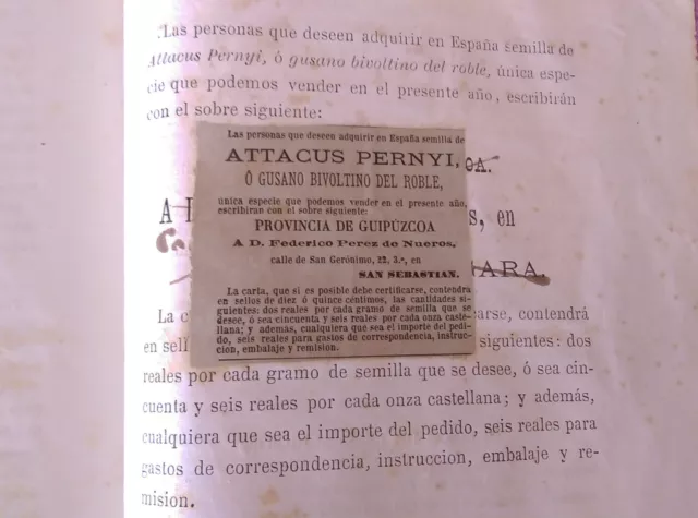 I. Para La Cria De Los Gusanos De Seda De Roble,Dr.federico Perez De Nueros 1888 3