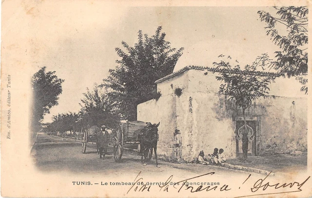 CPA 20 CORSE AJACCIO LA MOISSON (dos non divisé) GROS PLAN