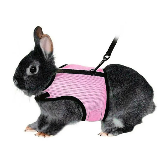 1pc Traktion Strap Praktische Outdoor Weichen Pet Liefert Harness Für Kaninchen