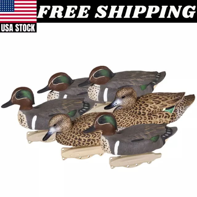Outdoors Front Green-Winged Teal Decoys, 6-Pack, 10.5 inch 4.4 Pounds