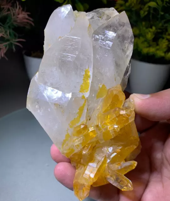 456 Gram Golden Quartz Crystals Natural Specimen Stone Mineral from Pakistan